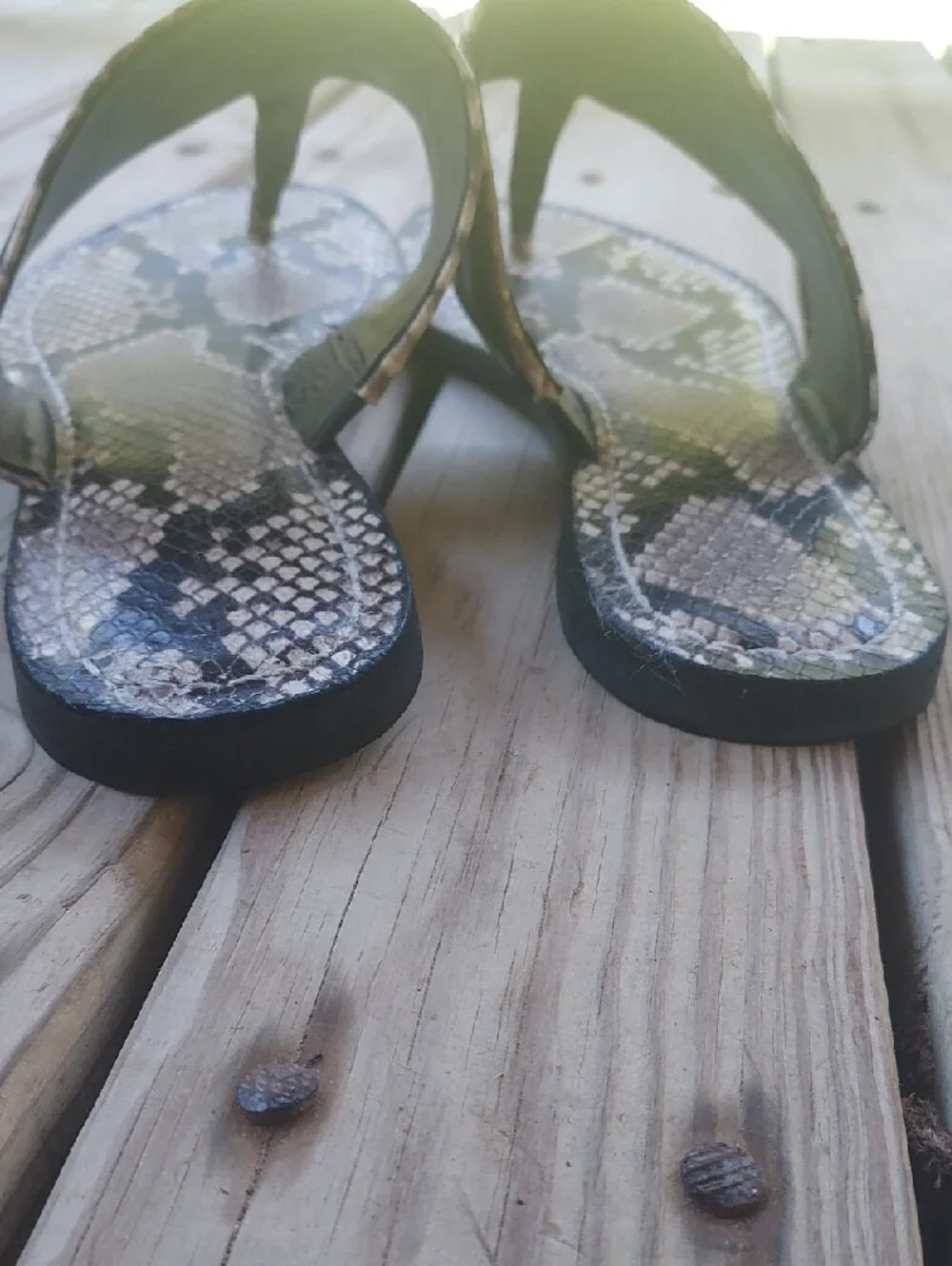 Tory Burch Snake-Print Logo Slide Sandals in Black and Cream